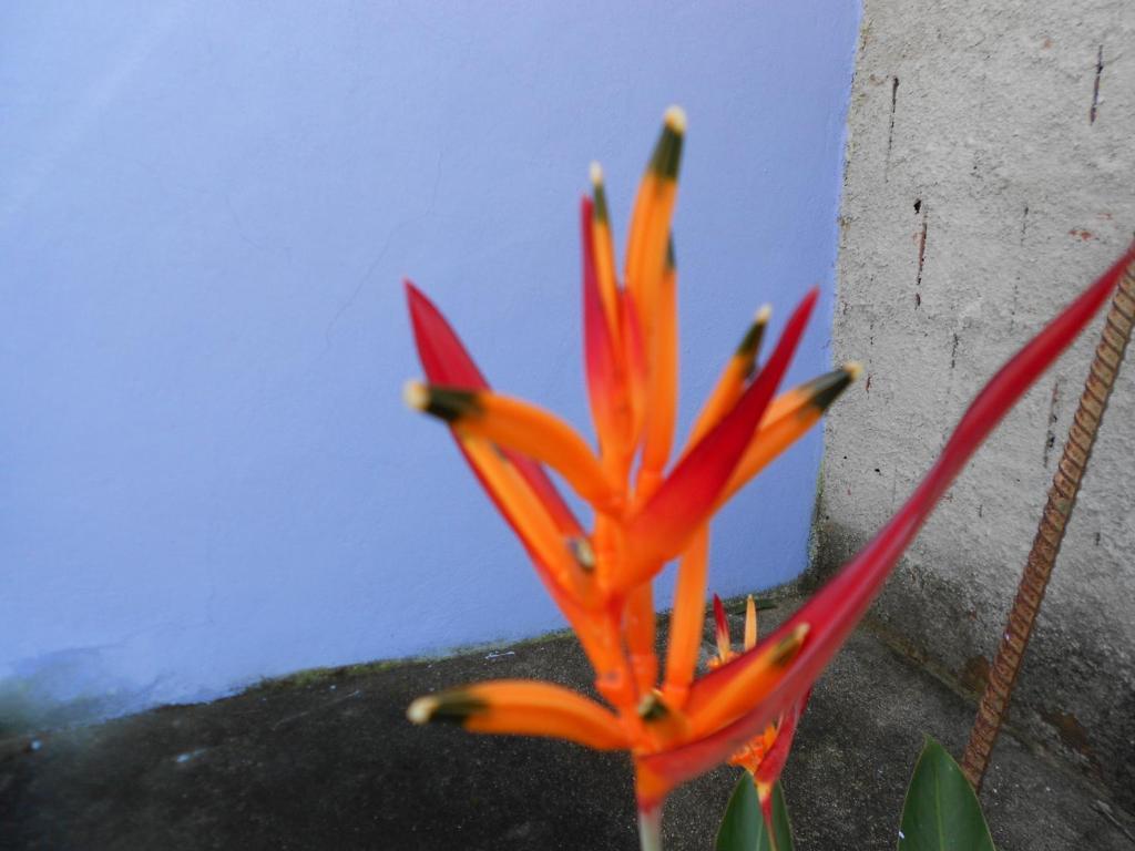 Namaste Hostel E Pousada Paraty Luaran gambar